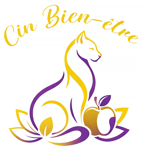 Logo Cin Bien-être